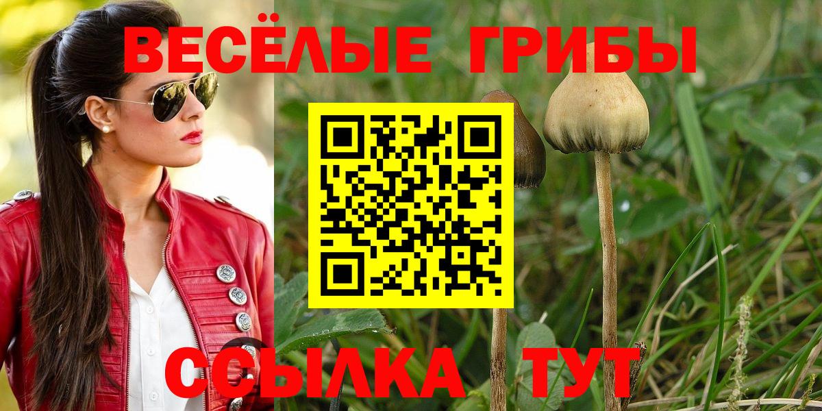 Галлюциногенные грибы MAGIC MUSHROOMS Первоуральск